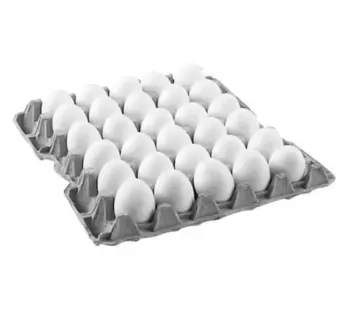 EGG 1 TRAY
